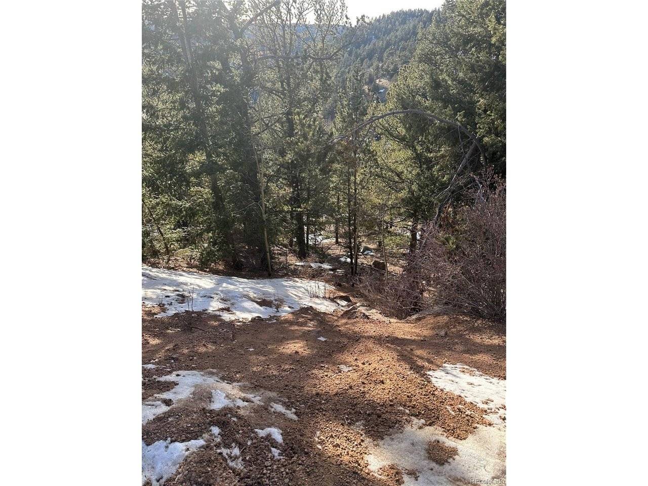 1600 Pikes Peak, Divide, CO 80814