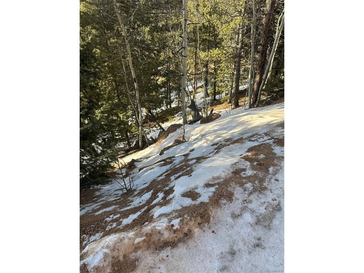 1600 Pikes Peak, Divide, CO 80814