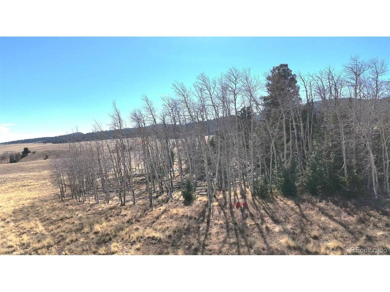 8802 Ranch, Hartsel, CO 80449