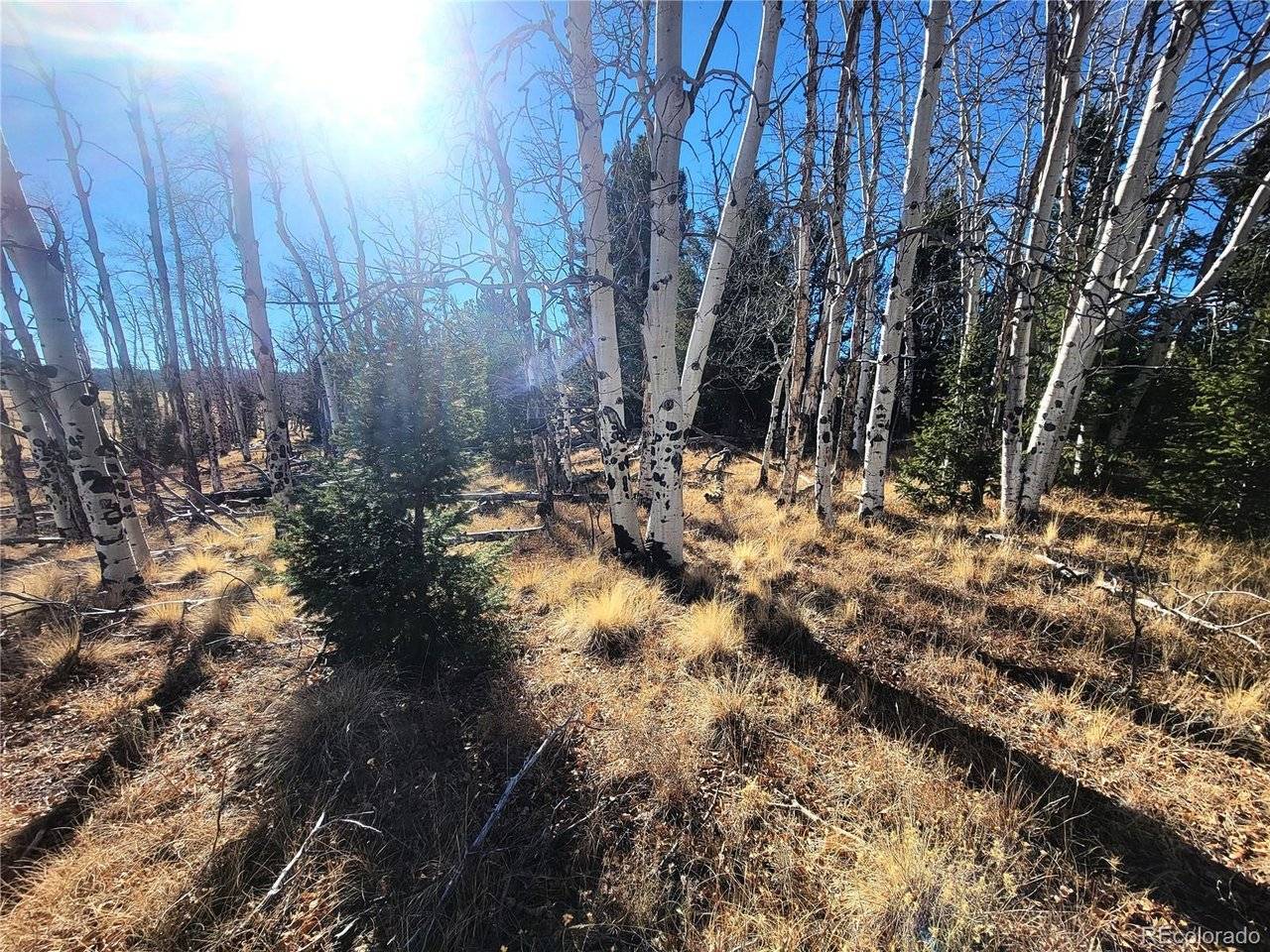 8802 Ranch, Hartsel, CO 80449