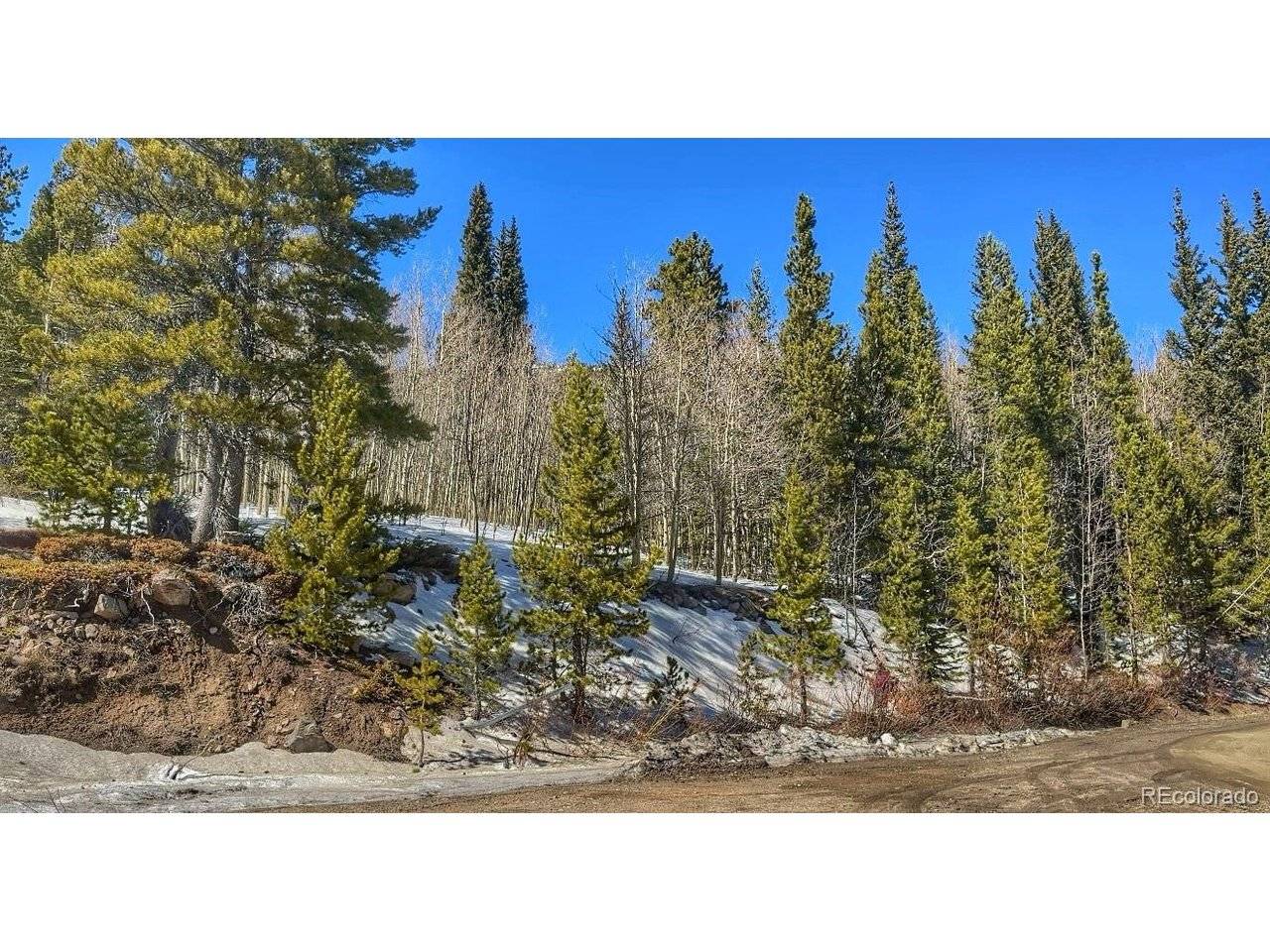 39 Glory Hole, Idaho Springs, CO 80452