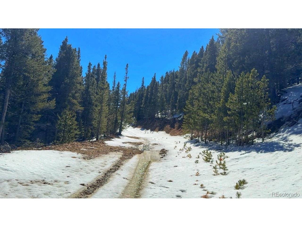 39 Glory Hole, Idaho Springs, CO 80452