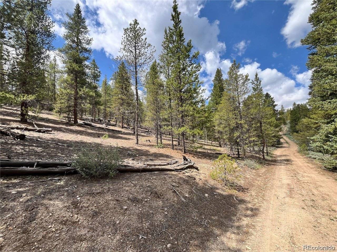 66 Ponderosa, Leadville, CO 80461