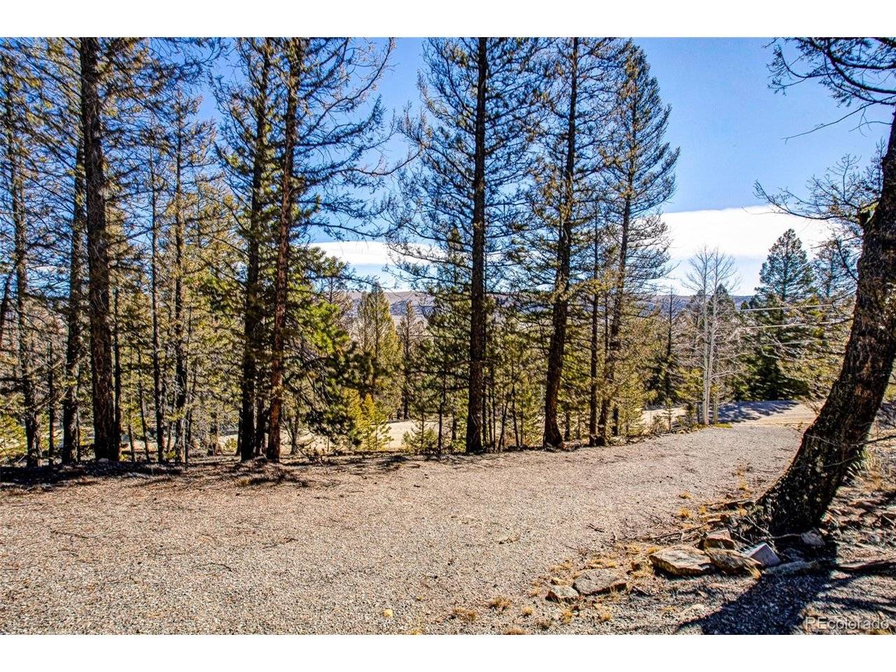 2623 Redhill, Fairplay, CO 80440