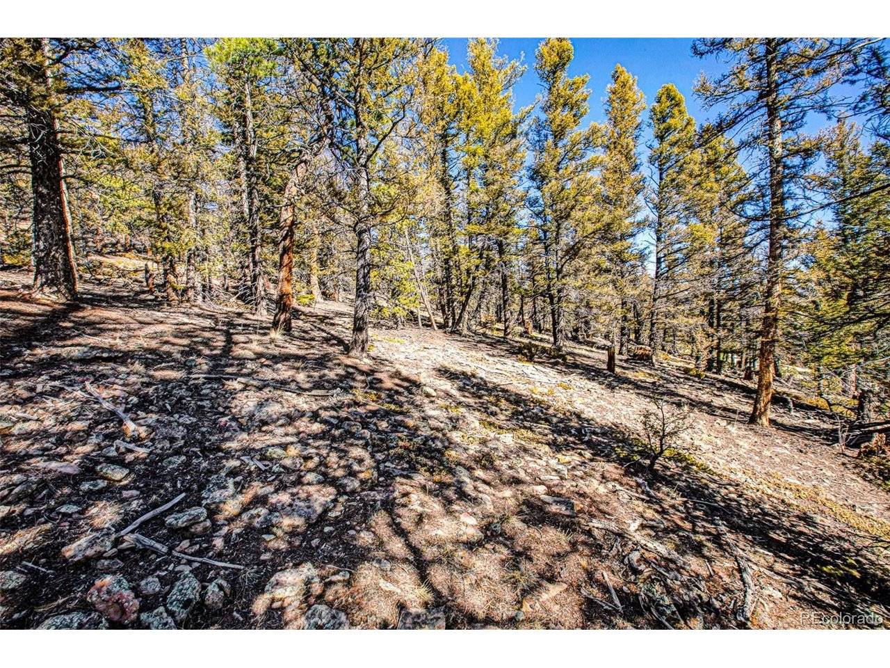 2623 Redhill, Fairplay, CO 80440
