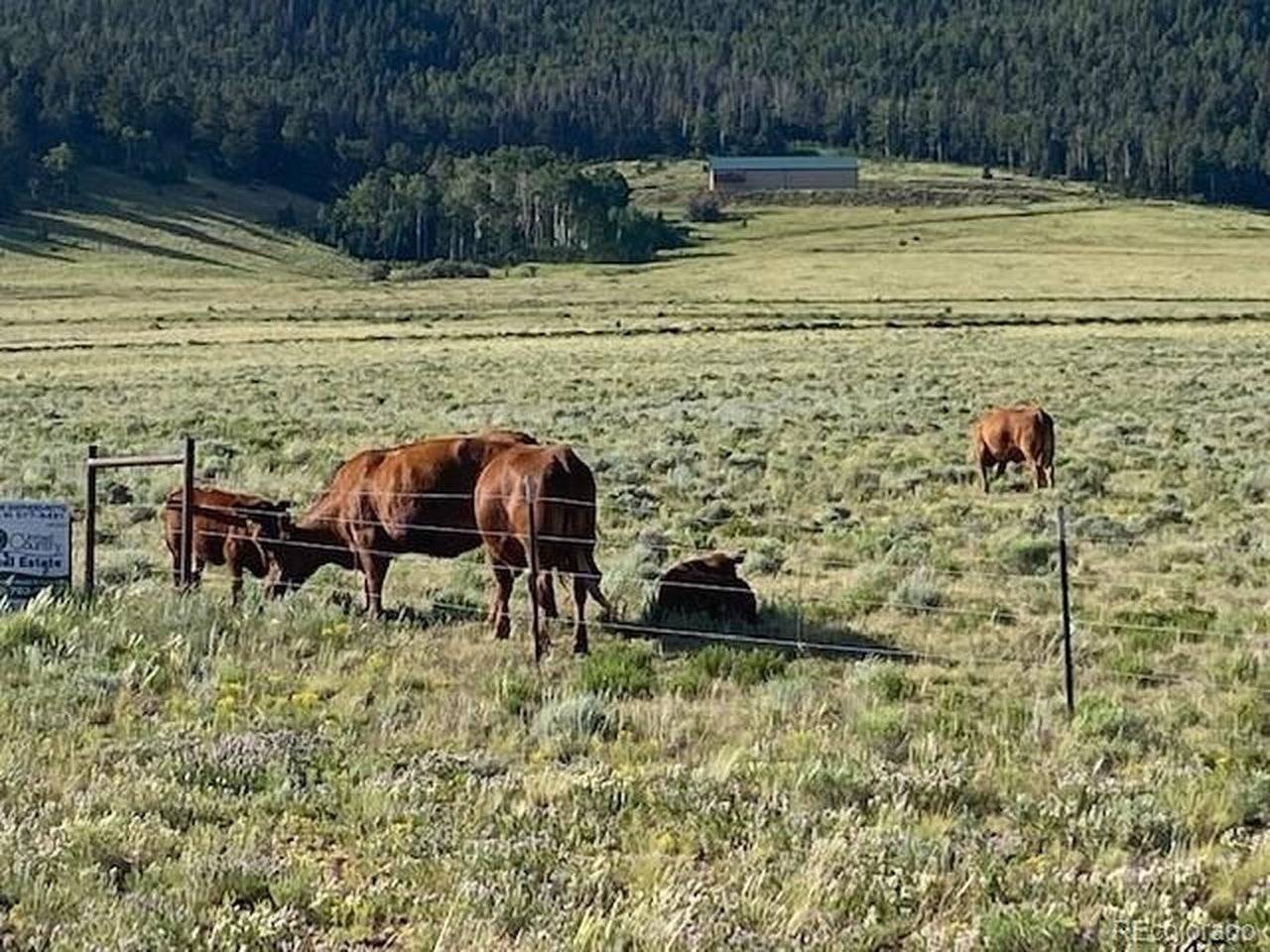 690 Eagle Gate, Westcliffe, CO 81252