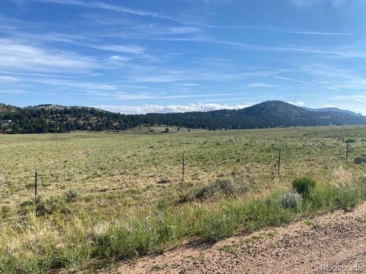 690 Eagle Gate, Westcliffe, CO 81252