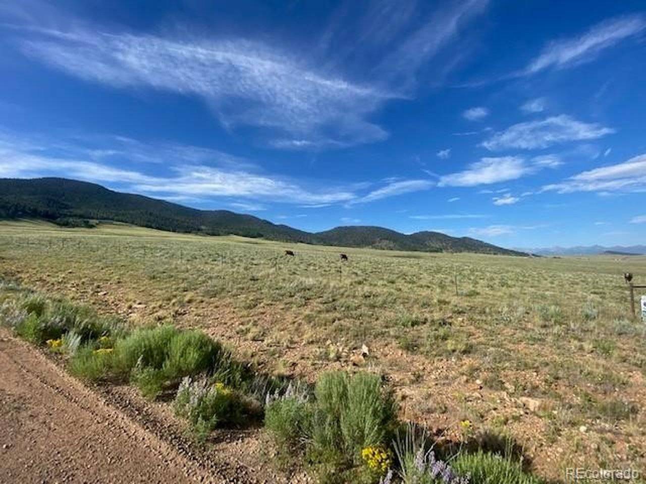 690 Eagle Gate, Westcliffe, CO 81252