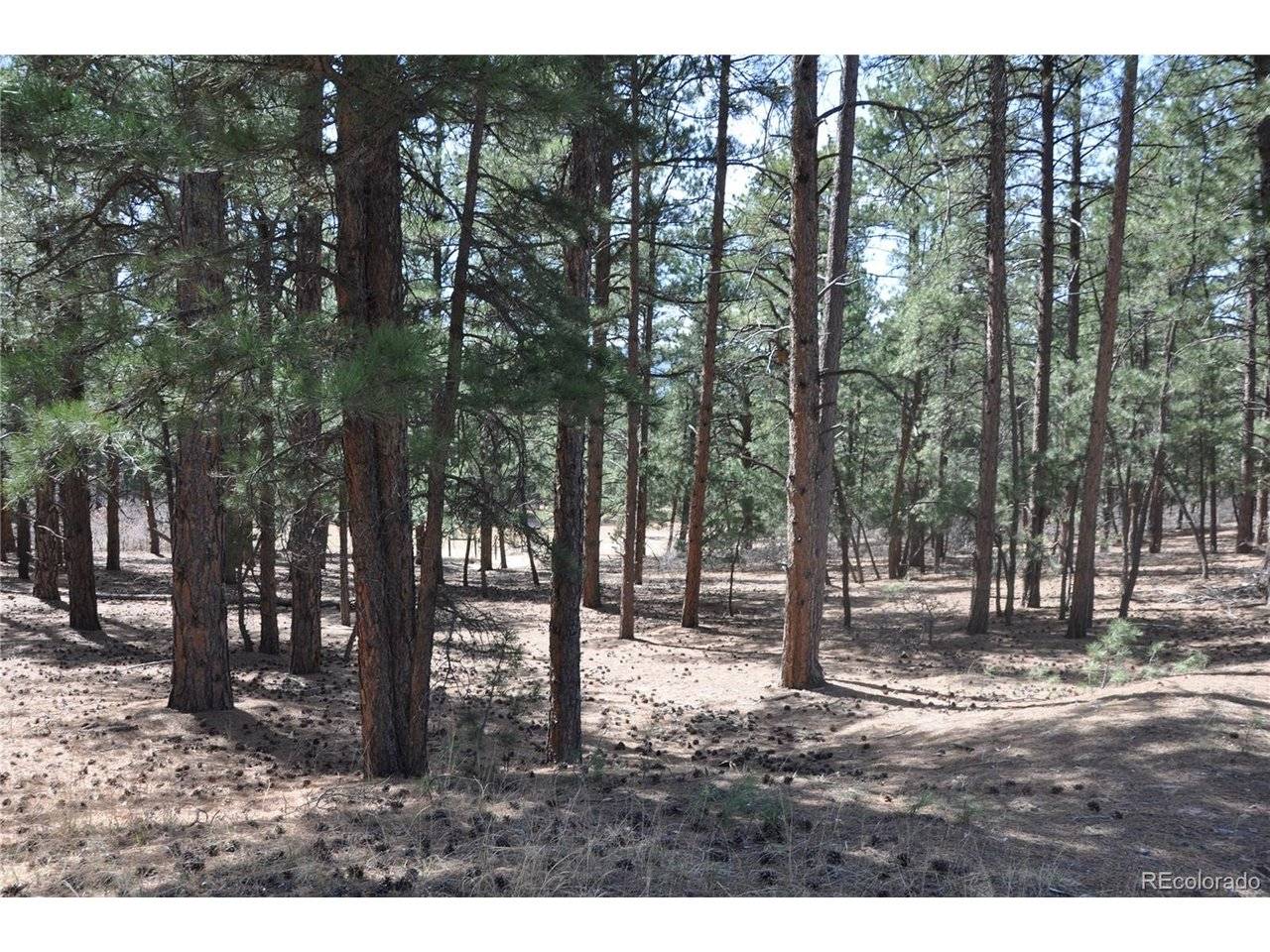 Wood Sorrel Rd, Larkspur, CO 80118