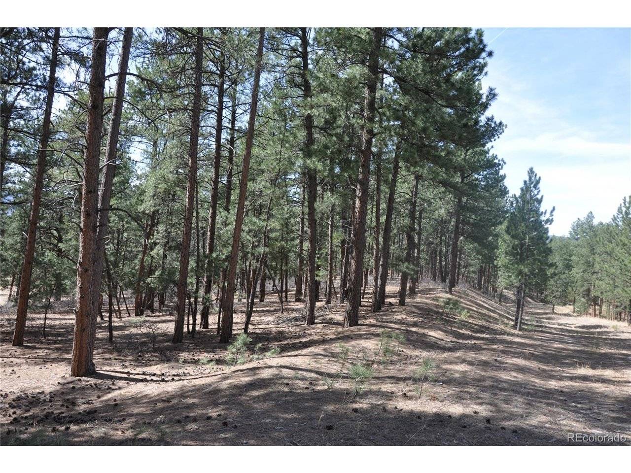 Wood Sorrel Rd, Larkspur, CO 80118