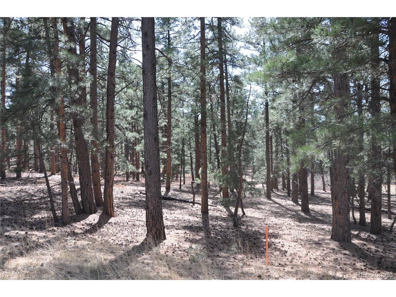 Wood Sorrel Rd, Larkspur, CO 80118