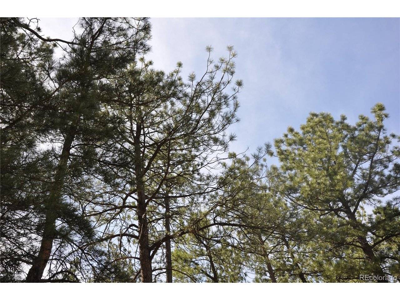 Wood Sorrel Rd, Larkspur, CO 80118