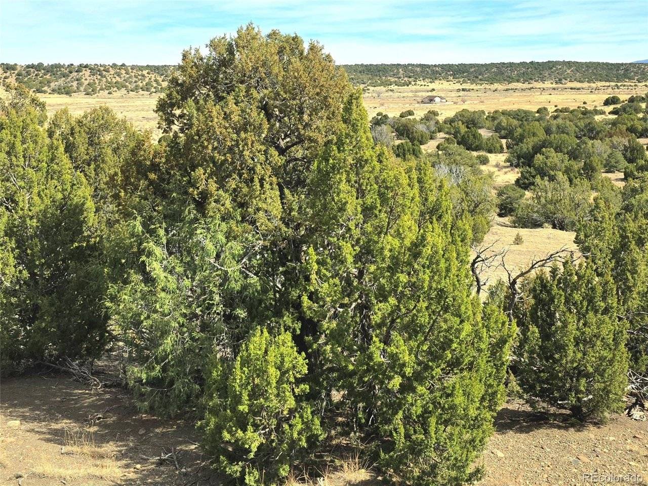 21 Bat Masterson, Trinidad, CO 81082