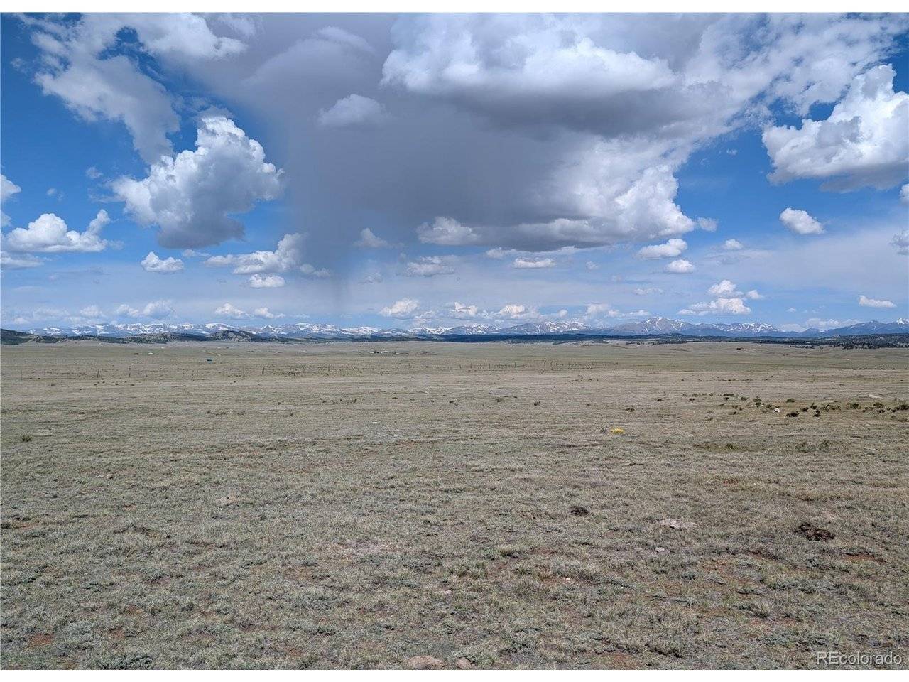 1920 Badger Basin, Hartsel, CO 80449