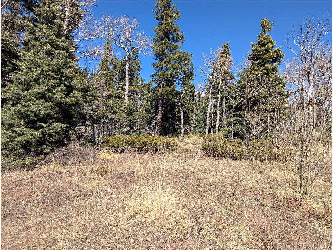 2938 Kemper, Fort Garland, CO 81133