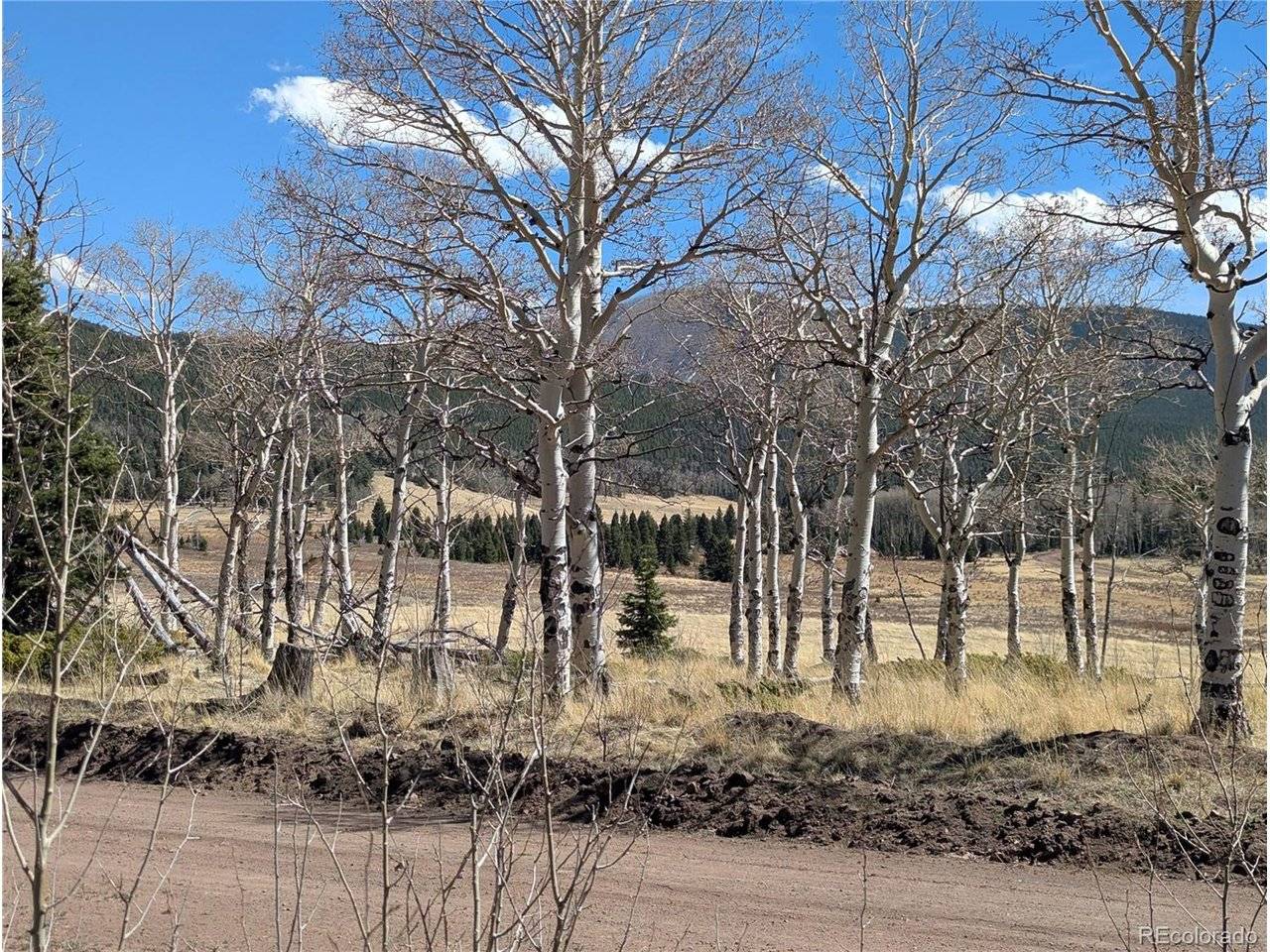 2938 Kemper, Fort Garland, CO 81133