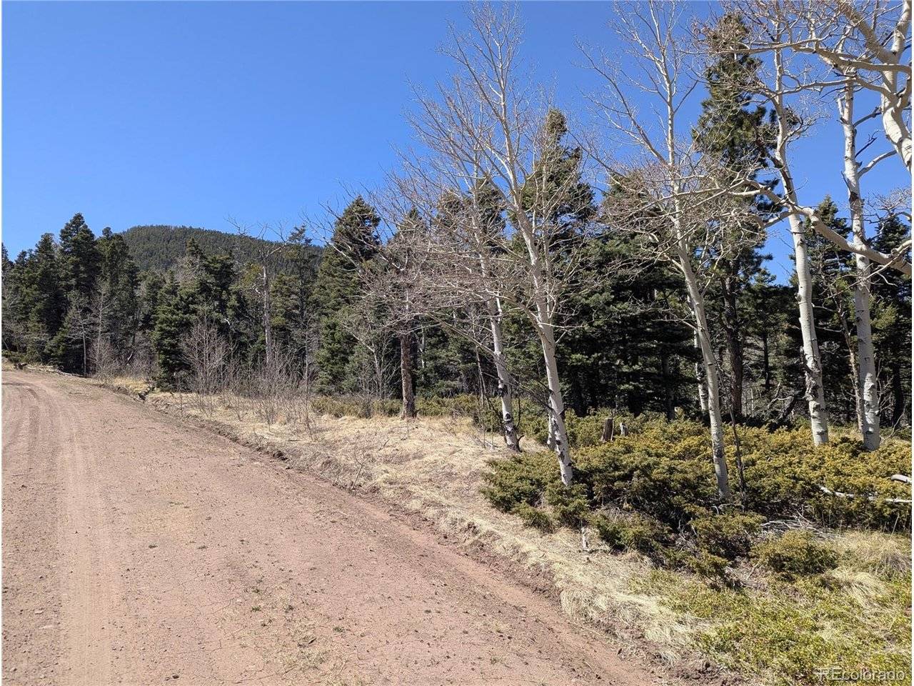 2938 Kemper, Fort Garland, CO 81133