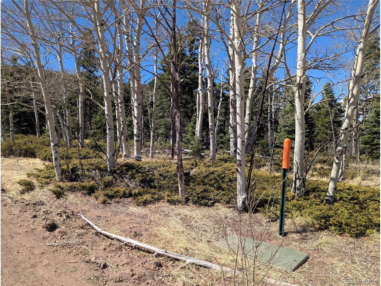 2938 Kemper, Fort Garland, CO 81133