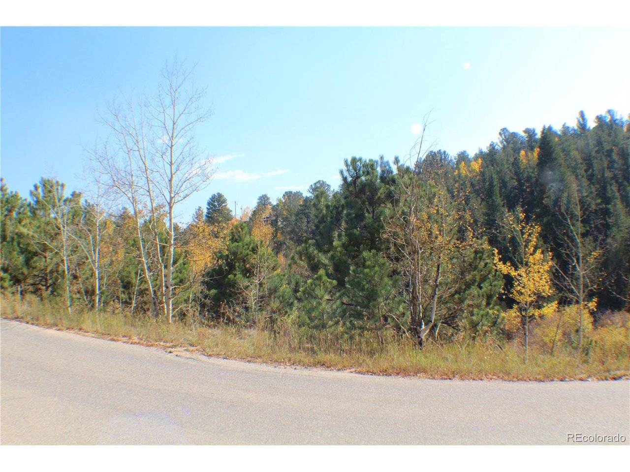2012 Shelton, Bailey, CO 80421