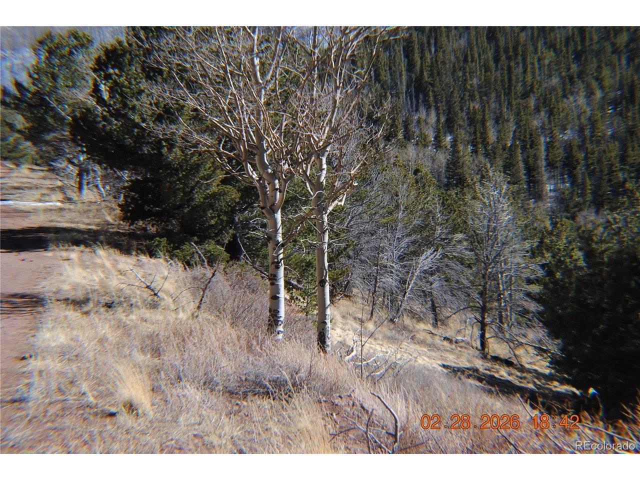 2734 NEWMAN, Fort Garland, CO 81133