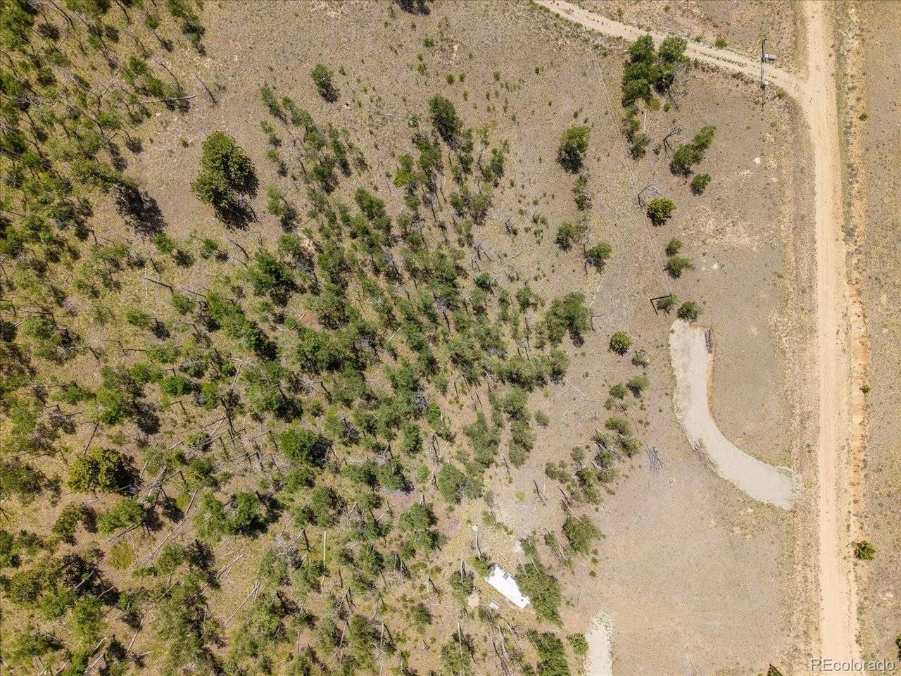 40 Brahma, Hartsel, CO 80449