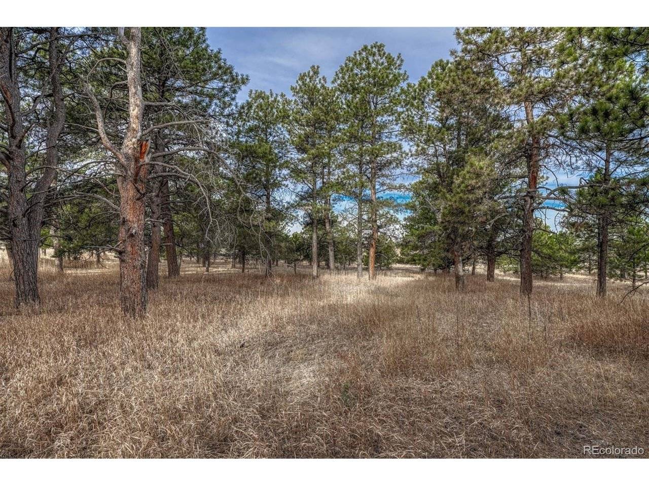 16511 Early Light, Colorado Springs, CO 80908