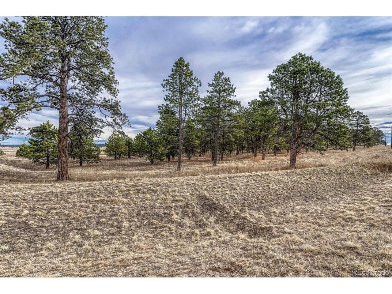 16511 Early Light, Colorado Springs, CO 80908