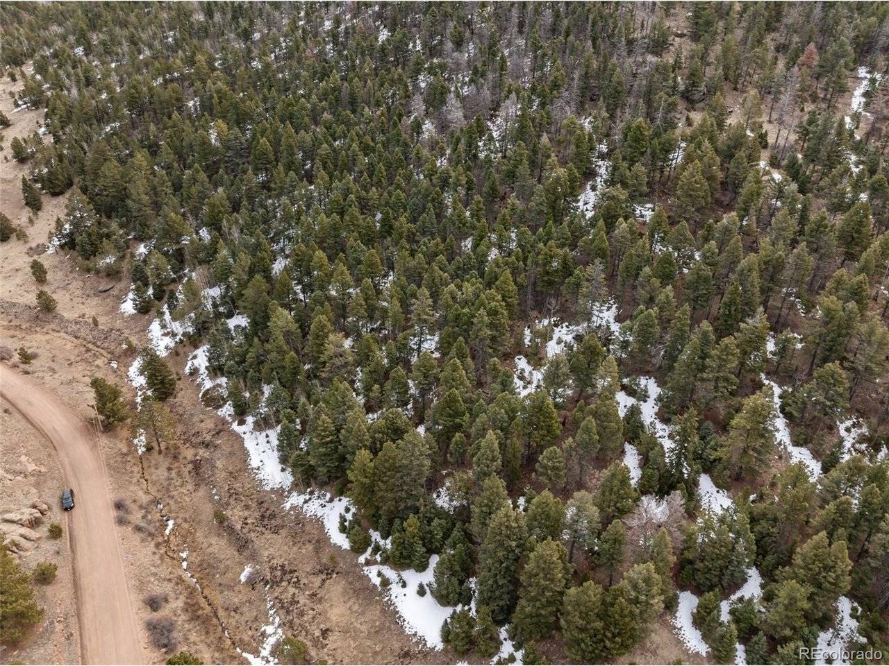 278 Penrose, Florissant, CO 80816