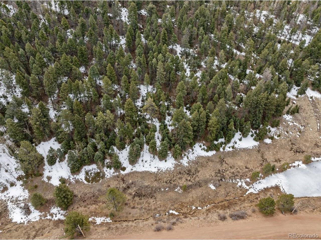 278 Penrose, Florissant, CO 80816