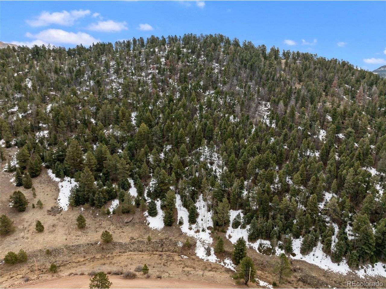 278 Penrose, Florissant, CO 80816
