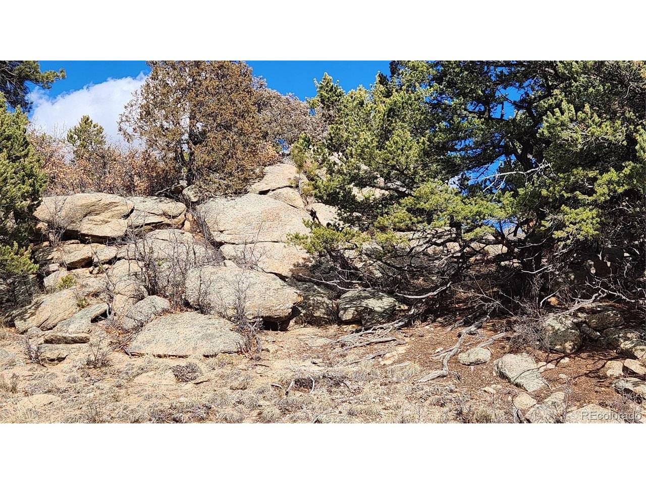47 White Cloud, Cotopaxi, CO 81223