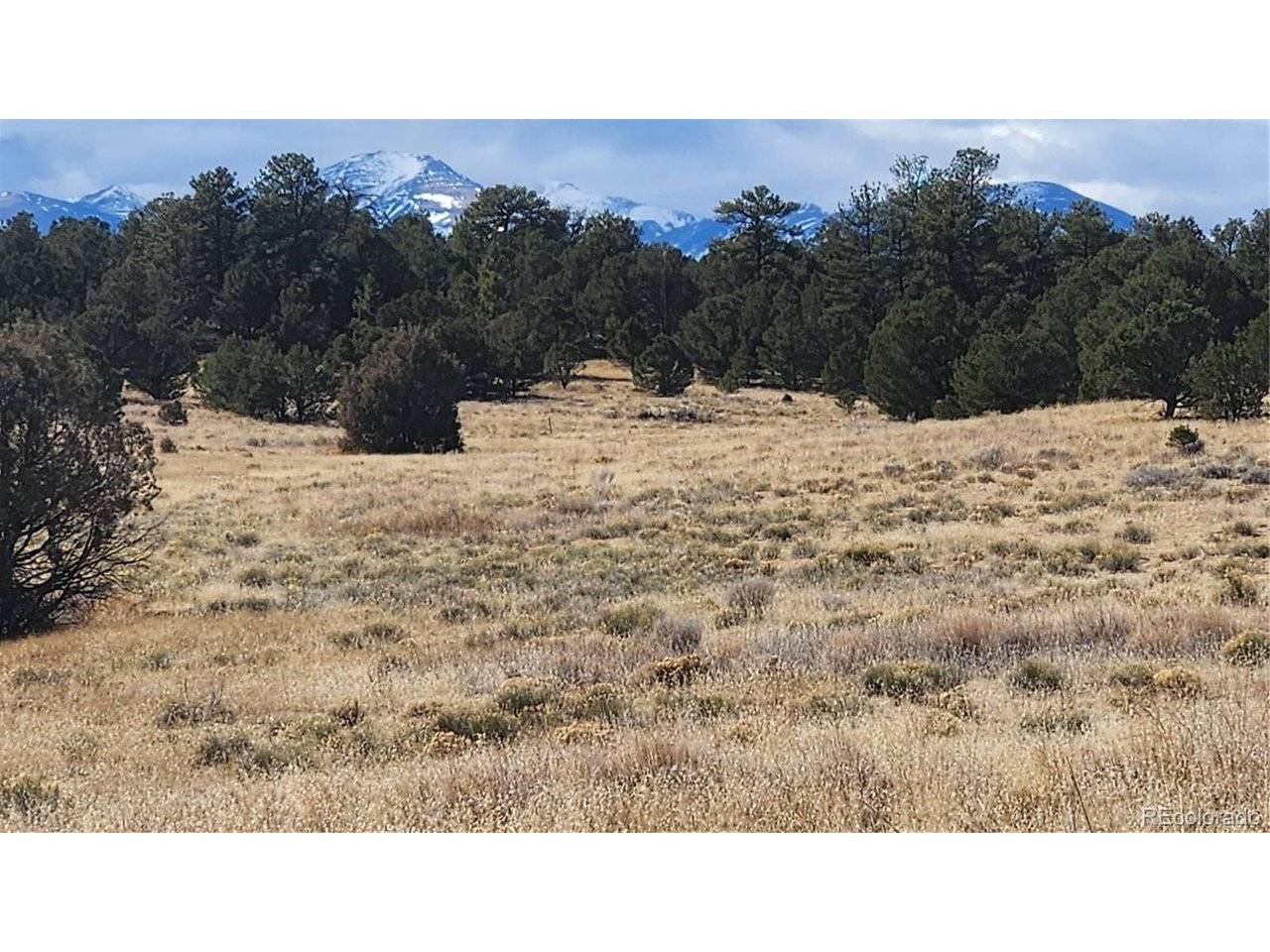 47 White Cloud, Cotopaxi, CO 81223