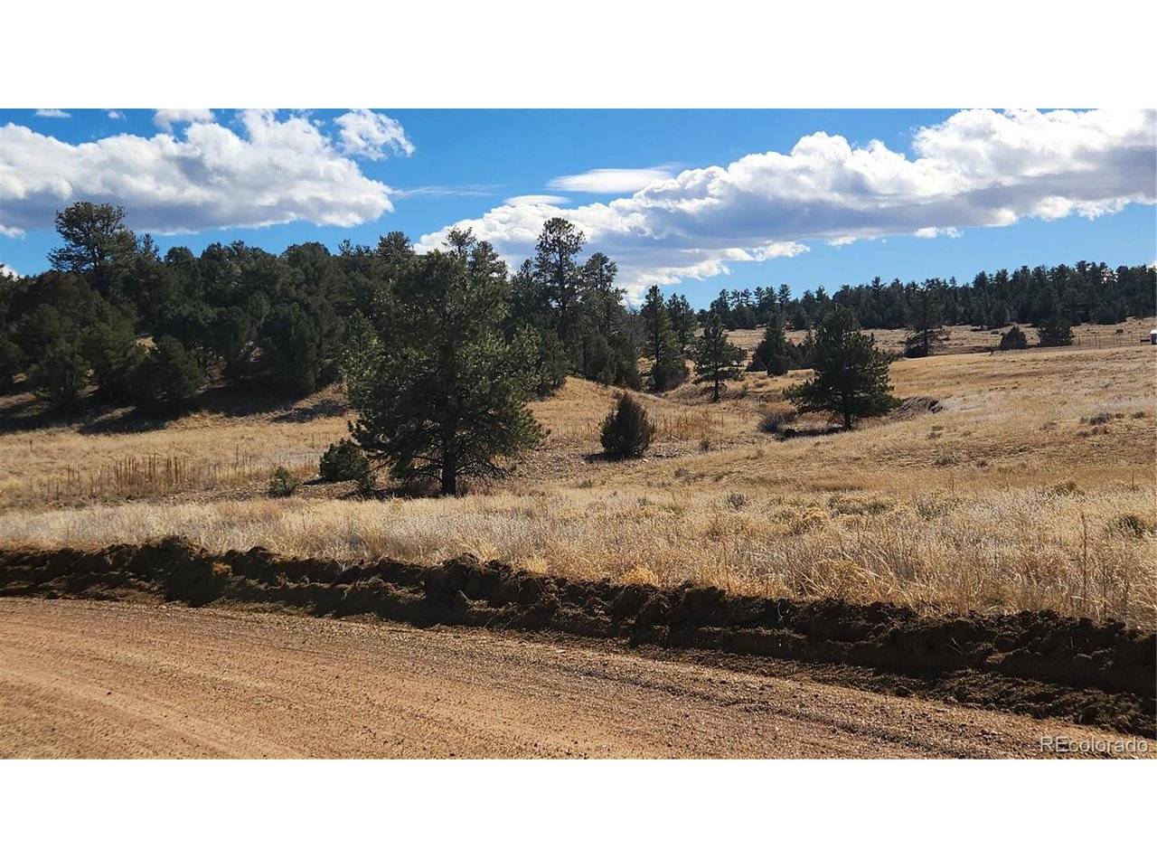 47 White Cloud, Cotopaxi, CO 81223