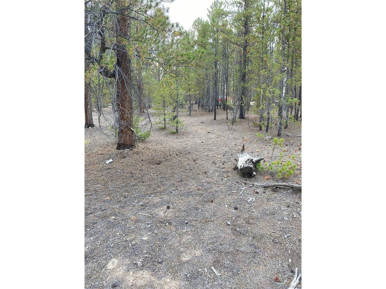 340 Peak View, Twin Lakes, CO 80461