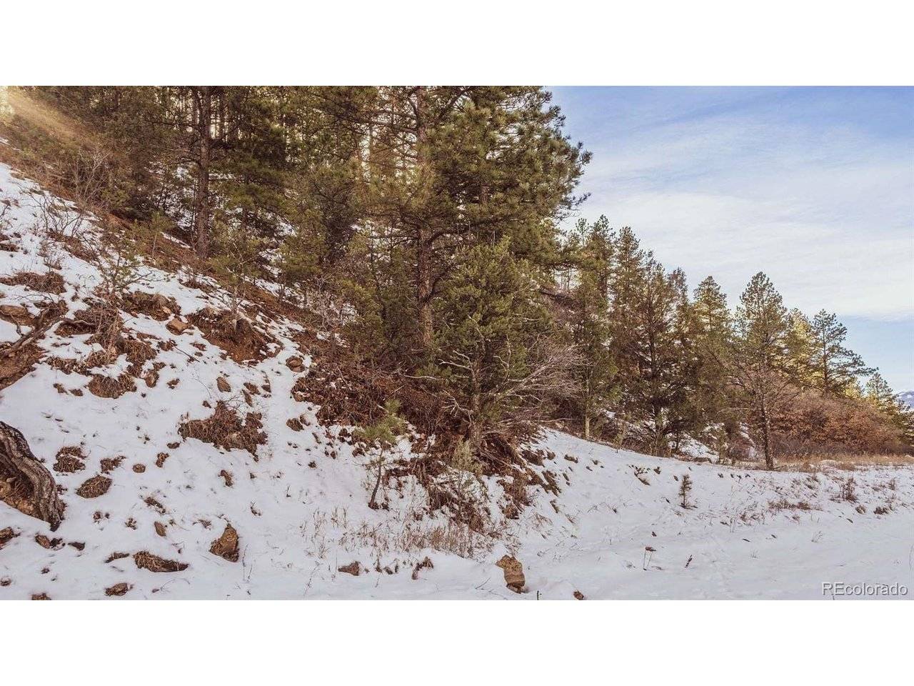Gulch, Cotopaxi, CO 81223
