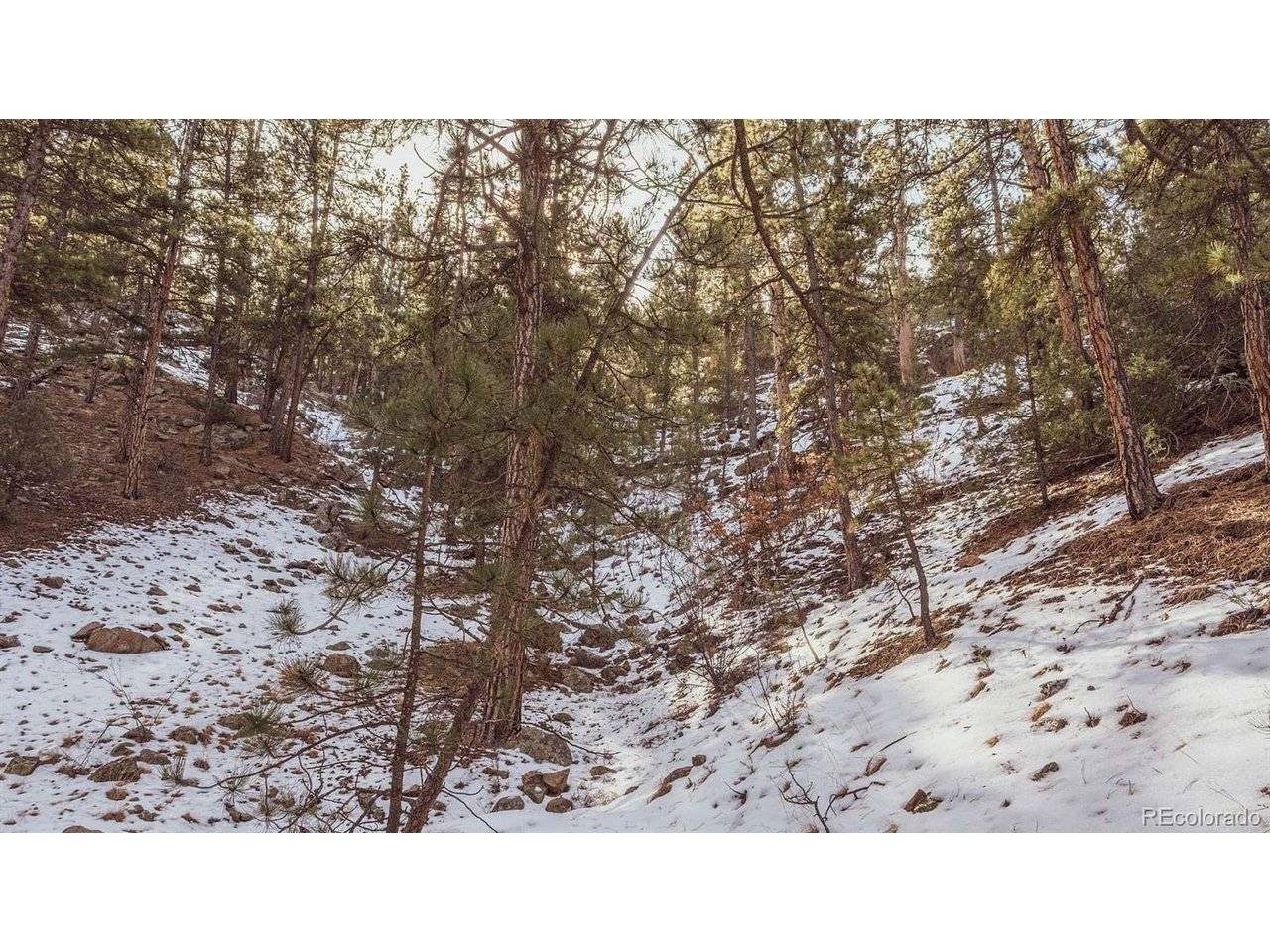 Gulch, Cotopaxi, CO 81223