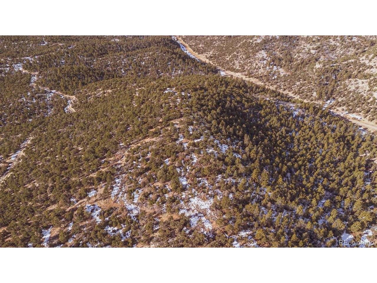 Gulch, Cotopaxi, CO 81223