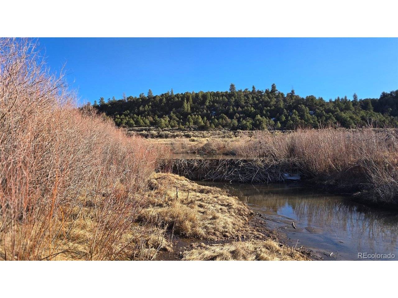 7542 Indian Creek, Fort Garland, CO 81133