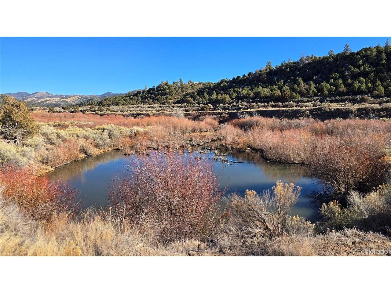 7542 Indian Creek, Fort Garland, CO 81133