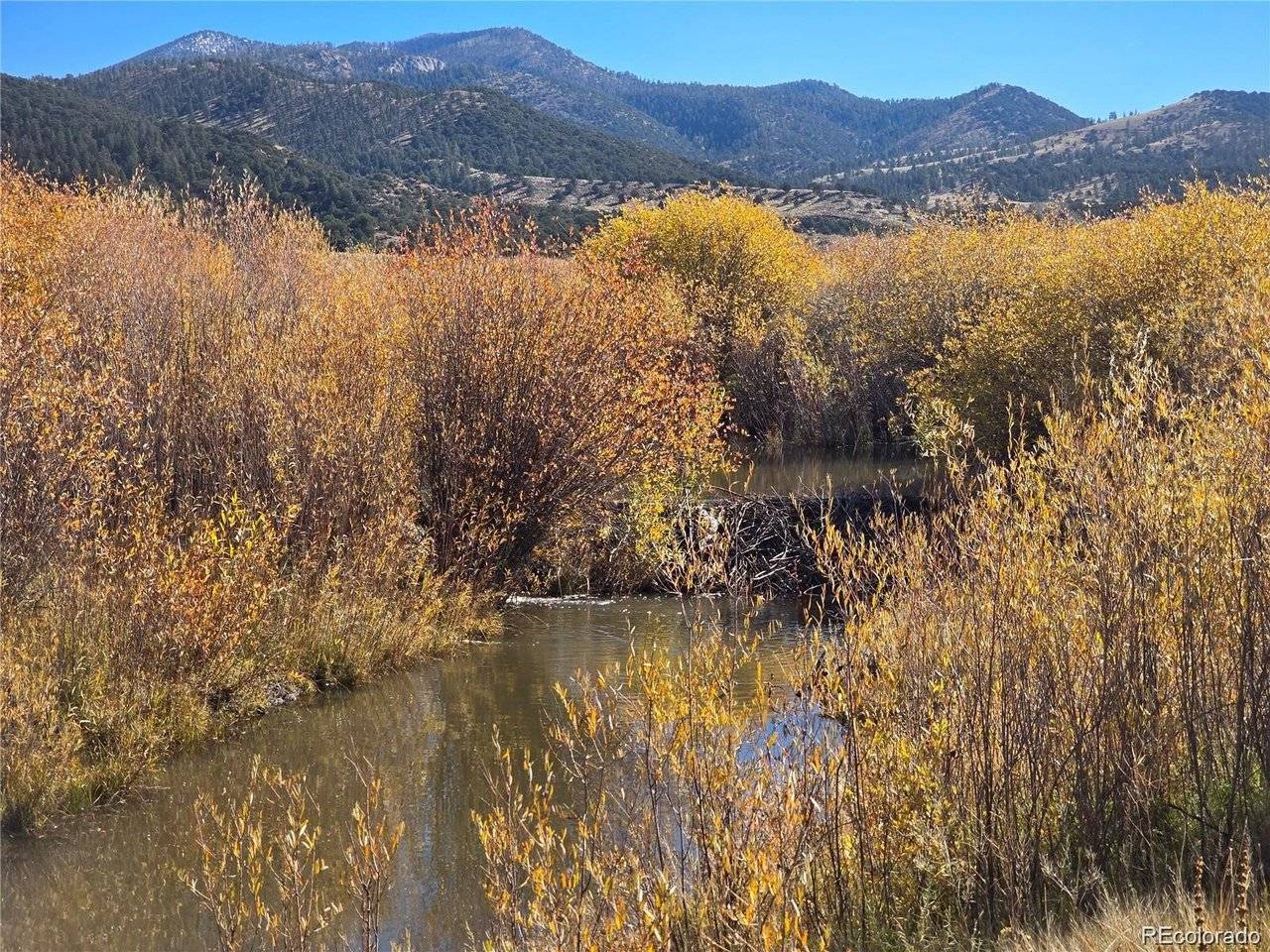 7542 Indian Creek, Fort Garland, CO 81133