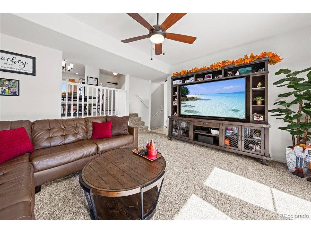 949 Ashbrook, Windsor, CO 80550