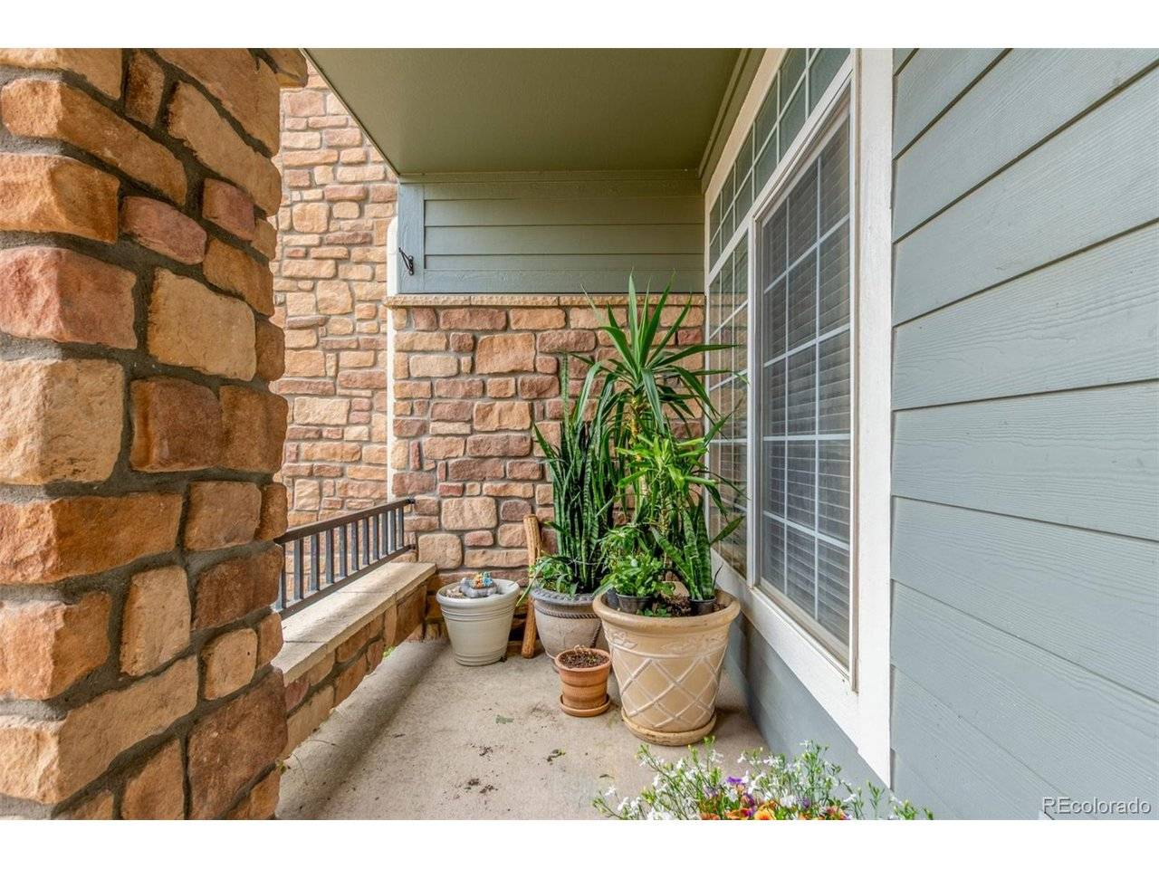 457 Black Feather #702, Castle Rock, CO 80104