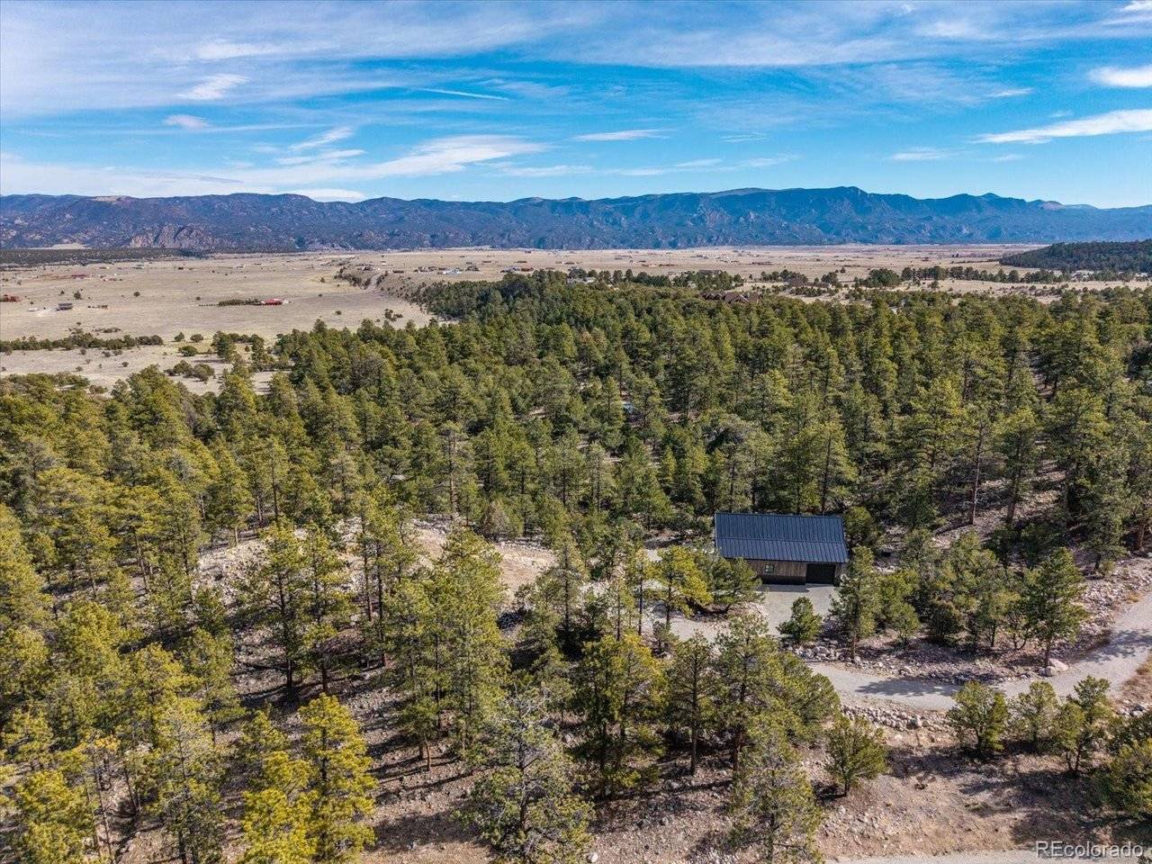 21160 Skyline, Nathrop, CO 81236