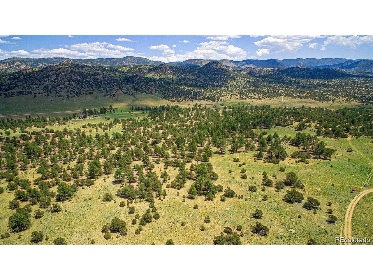8 Big Sandy Estaes, Buena Vista, CO 81211