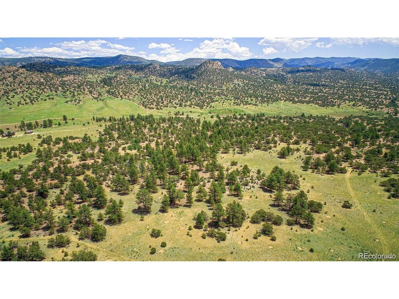 8 Big Sandy Estaes, Buena Vista, CO 81211