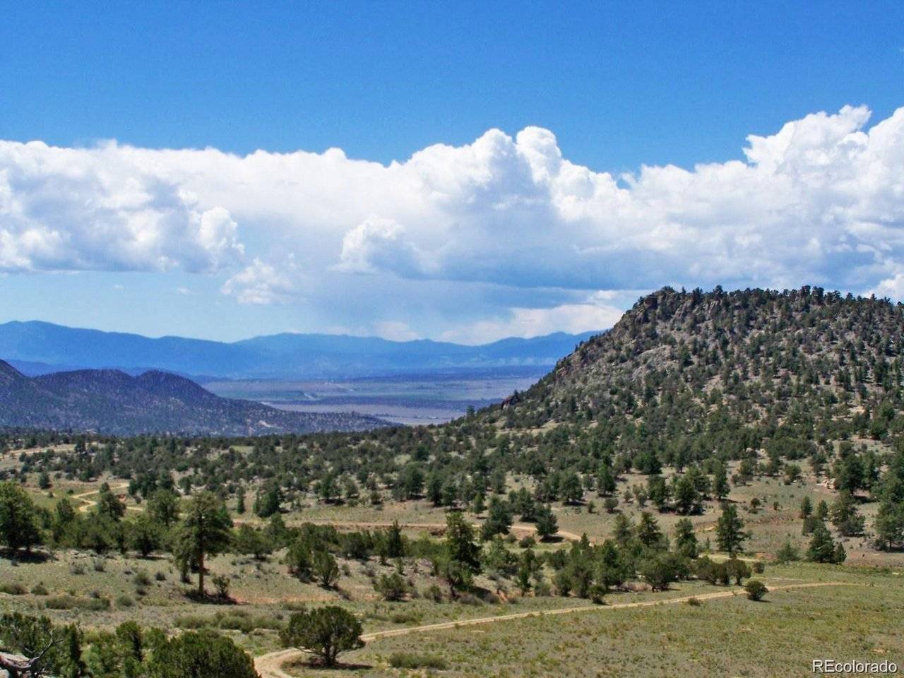 8 Big Sandy Estaes, Buena Vista, CO 81211