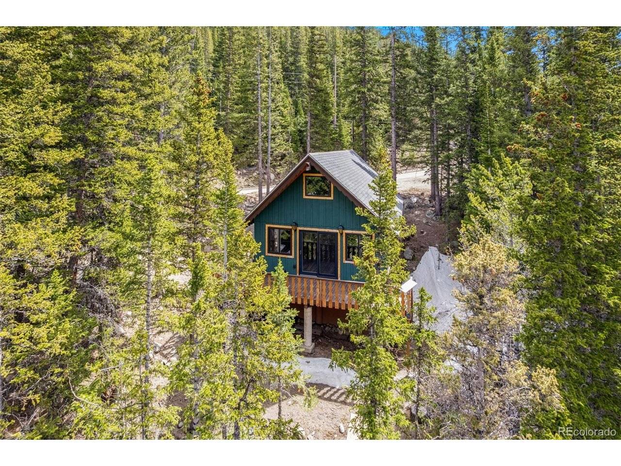 827 Mine, Idaho Springs, CO 80452