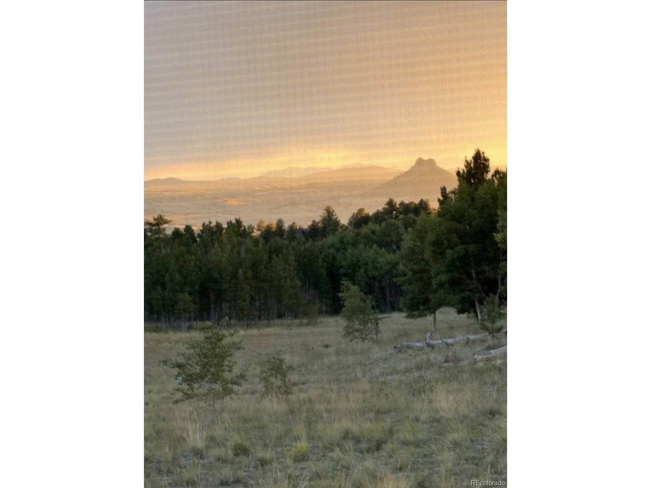 503 Sugar Loaf, Jefferson, CO 80456