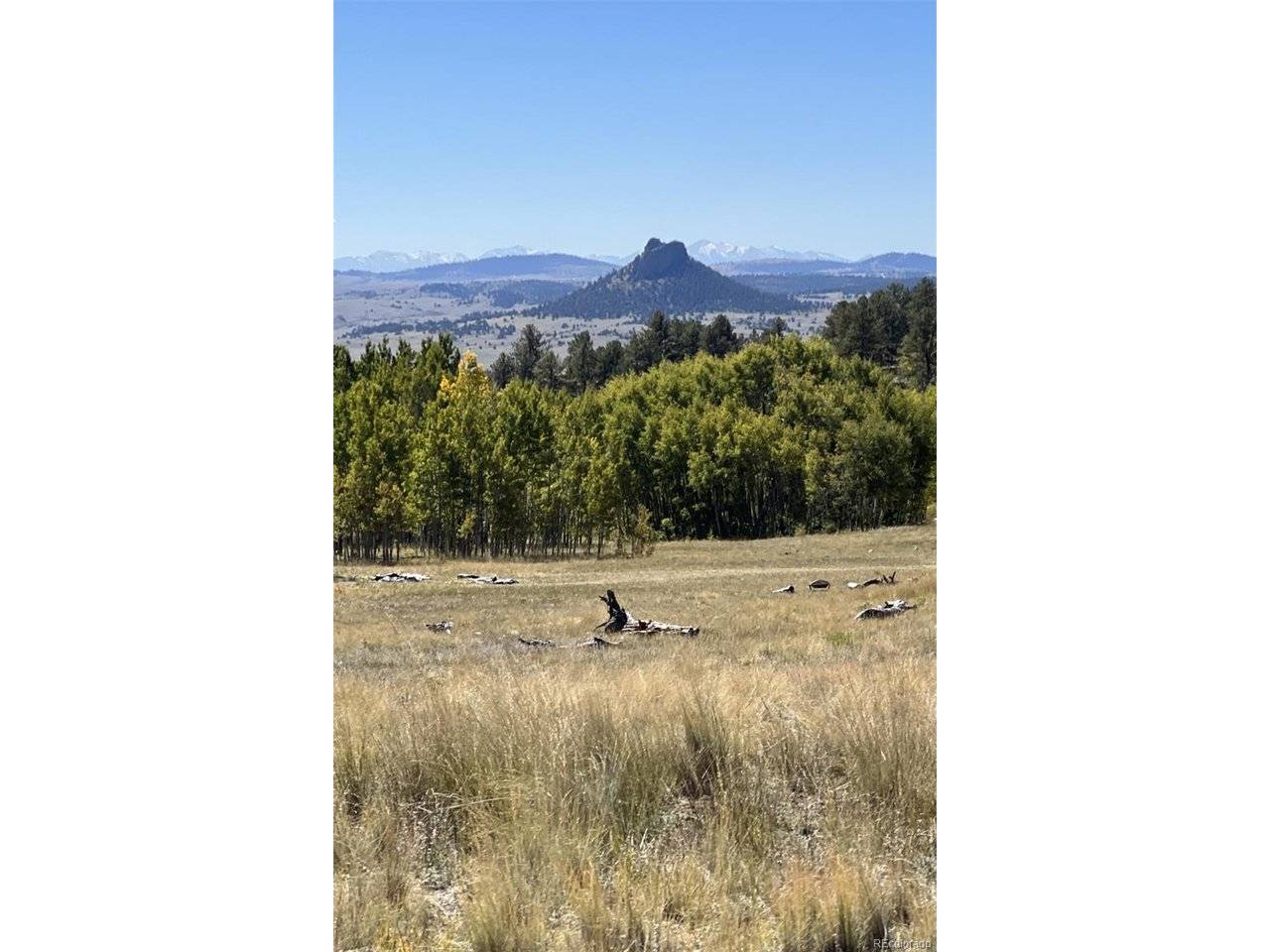 503 Sugar Loaf, Jefferson, CO 80456