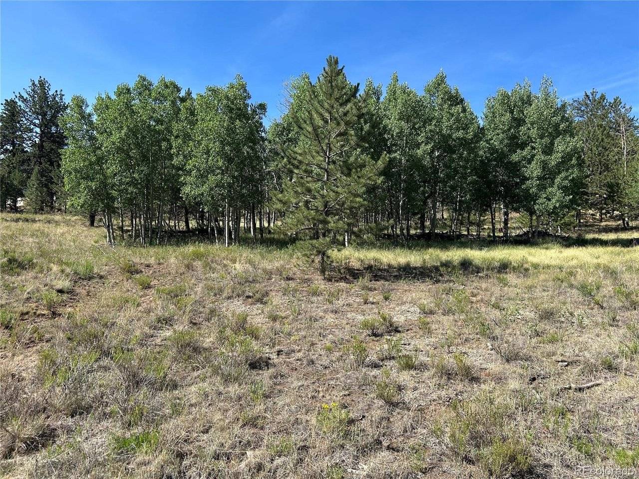 565 Hayhook, Hartsel, CO 80449